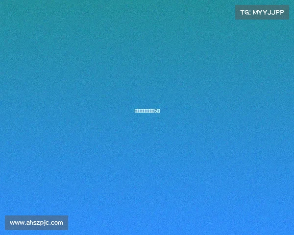 女排赛事直播中央5套